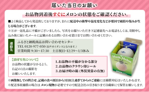 静岡県森町のふるさと納税 【訳あり】クラウンメロン　2玉詰