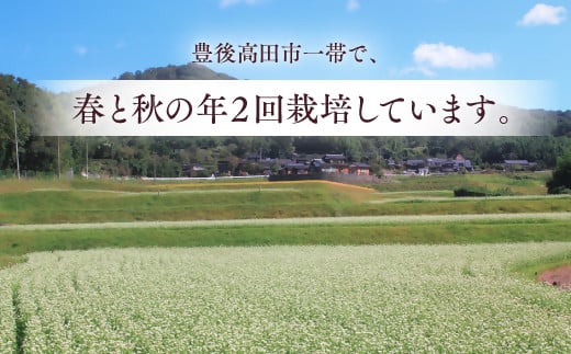 韃靼そば茶３缶セット（100g×3缶）【豊後高田産】 - 大分県豊後高田市｜ふるさとチョイス - ふるさと納税サイト