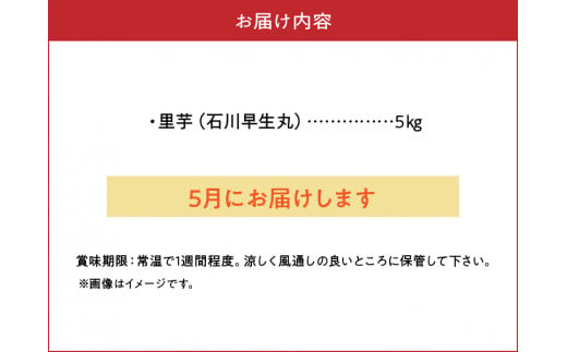 2025年先行予約】新鮮おいしい！里芋（石川早生丸）5kg 5月お届け C056-002 - 鹿児島県知名町｜ふるさとチョイス - ふるさと納税サイト