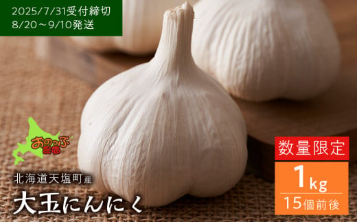 2025年分予約開始★北海道産大玉にんにく1kg《おのっぷ農園》 1128944 - 北海道天塩町