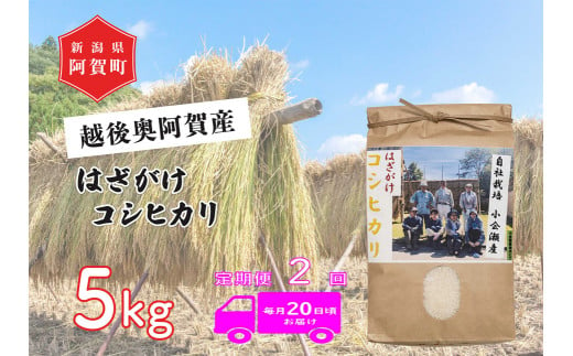 《令和6年産米》【定期便】2回　越後奥阿賀産はざがけ（天日干し）コシヒカリ　5kg（1袋） 1520298 - 新潟県阿賀町