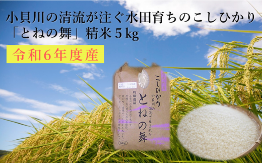 小貝川の清流が注ぐ水田育ち「とねの舞」精米5kg 281428 - 茨城県利根町