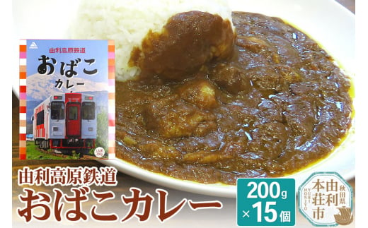 由利高原鉄道 おばこカレー 中辛 200g×15個セット 1502780 - 秋田県由利本荘市