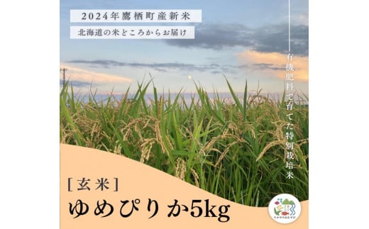 A258【令和６年産】ゆめぴりか（玄米）特Aランク 5kg 北海道 鷹栖町 たかすのおむすび 米 コメ ご飯 玄米 お米 ゆめぴりか 1503532 - 北海道鷹栖町