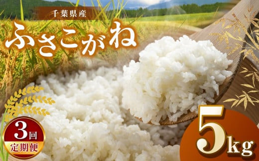 【新米・令和6年産】【3回定期便】君津市産ふさこがね（精米）5kg | JA さだもと 米 こめ お米 おこめ 白米 精米   定期便 定期 千葉県 君津市 きみつ 1521203 - 千葉県君津市