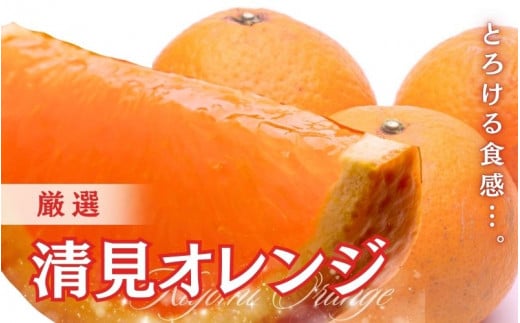 ＜2月より発送＞厳選 清見オレンジ4kg+120g（傷み補償分）【光センサー食頃出荷】【樹上完熟きよみオレンジ・清見タンゴール・清美】 ※北海道・沖縄・離島への配送不可【ikd197】 1529791 - 和歌山県すさみ町