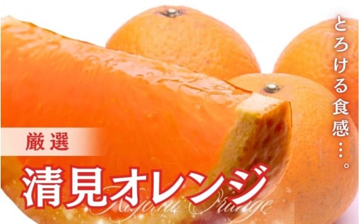 ＜2月より発送＞厳選 清見オレンジ4kg+120g（傷み補償分）【光センサー食頃出荷】【樹上完熟きよみオレンジ・清見タンゴール・清美】 ※北海道・沖縄・離島への配送不可【ikd197】 1505056 - 和歌山県古座川町