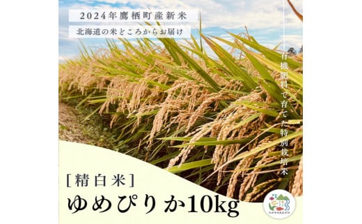 A253【令和６年産】ゆめぴりか（精白米）特Aランク 10kg 北海道 鷹栖町 たかすのおむすび 米 コメ ご飯 精白米 お米 ゆめぴりか 1503527 - 北海道鷹栖町