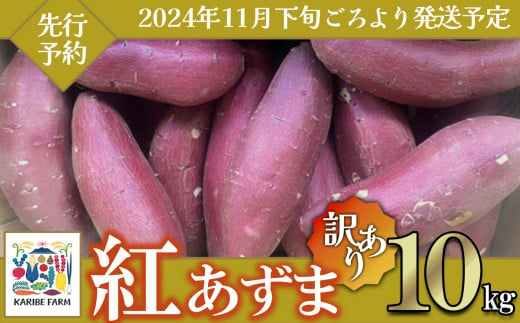 【先行予約】【訳あり】茨城県産さつまいも 「紅あずま」 10kg【2024年11月下旬ごろ順次発送】【さつまいも 紅あずま 甘い ほくほく サツマイモ 焼き芋 芋 大容量 茨城県産 焼き芋 スイートポテト レシピ】 1504113 - 茨城県下妻市