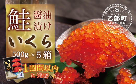 【数量限定】＜いくら醤油漬　５パック（500ｇ×5）2.5ｋｇ＞鮮度にこだわる「笹谷商店」の絶品の醤油タレで漬けたいくら（検索：イクラ 鮭いくら 鮭イクラ 醤油いくら 醤油イクラ いくら醤油漬け イクラ醤油漬け 醤油漬 いくら丼 秋鮭 国産 北海道産 北海道乙部町 日本海 冷凍 人気 訳あり 定額減税 使い道 ふるさと納税） 1479801 - 北海道乙部町