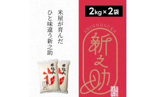  特別栽培米 新之助 4kg (2kg×2袋) 米杜氏 壱成 白米 精米 大粒 つや 光沢 弾力 芳醇 1H41011 1508351 - 新潟県阿賀野市