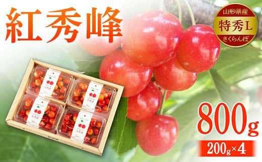 【令和7年先行予約】山形県産 さくらんぼ 紅秀峰 特秀L800g（200g×4） FSY-2148 1535850 - 山形県山形県庁