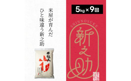  【9ヶ月定期便】 特別栽培米 新之助 5kg (5kg×1袋)×9回 米杜氏 壱成 白米 精米 大粒 つや 光沢 弾力 芳醇 1H49108 1508359 - 新潟県阿賀野市