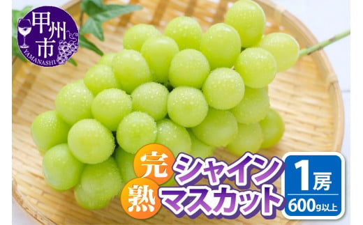 池田青果の「完熟」シャインマスカット 600g以上 1房【2024年発送】（IS）B-466【シャインマスカット 葡萄 ぶどう ブドウ 令和6年発送 期間限定 山梨県産 甲州市 フルーツ 果物】 260281 - 山梨県甲州市