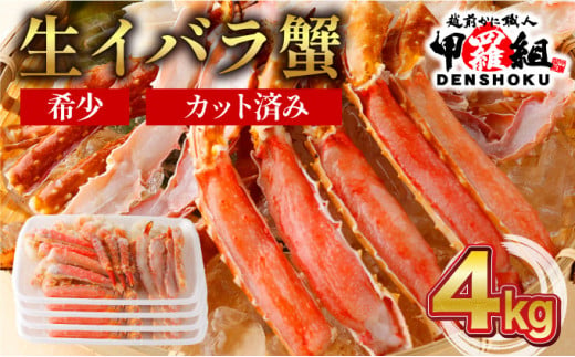 【順次配送】 生イバラガニハーフポーション 4kg （生食可）【甲羅組 蟹 カニ 魚介類 魚貝類】 [024-b425] 1517917 - 福井県敦賀市