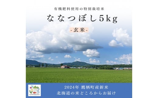 A263【令和６年産】ななつぼし（玄米）特Aランク 5kg  北海道 鷹栖町 たかすのおむすび 米 コメ ご飯 玄米 お米 ななつぼし 1503537 - 北海道鷹栖町