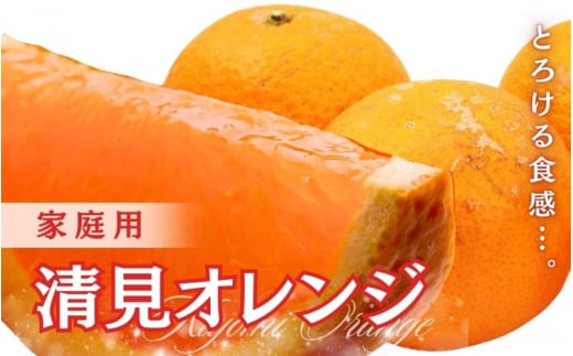 ＜2月より発送＞家庭用 清見オレンジ3.5kg+105g（傷み保証分）【光センサー食頃出荷】【樹上完熟きよみオレンジ・清見タンゴール・清美】【わけあり・訳あり】※北海道・沖縄・離島への配送不可【ikd199】 1505058 - 和歌山県古座川町