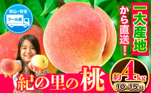 桃 【2025年先行予約】 和歌山県産 紀の里の桃 約4kg(10-15玉入り)《6月中旬-8月中旬頃出荷》 桃 2025年 先行 桃 先行予約2025 もも2025 白鳳 日川白鳳 八旗白鳳 清水白桃 川中島白桃 つきあかり もも 白鳳 先行予約 もも川中島 もも2025 もも 白鳳 先行予約