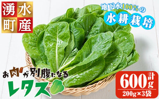 y470 お肉が別腹になるレタス 計600g (200g×3袋) 国産 九州産 鹿児島県産 湧水町産 野菜 やさい レタス ロメインレタス 焼肉 焼き肉 バーベキュー BBQ 冷しゃぶ サラダ 水耕栽培【霧島製萌】 1519638 - 鹿児島県湧水町