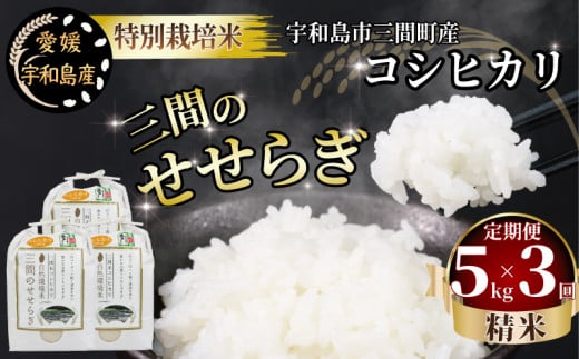 特別栽培米 新米 定期便 3回 計 15kg 先行予約 令和7年度産 三間のせせらぎ 三間町産 コシヒカリ 5kg × 3 渡辺農園 米 ごはん お弁当 おにぎり ブランド米 ふっくら ツヤツヤ 甘い 粘り 美味しい 農家直送 産地直送 数量限定 国産 愛媛 宇和島 G028-117003 1555073 - 愛媛県宇和島市