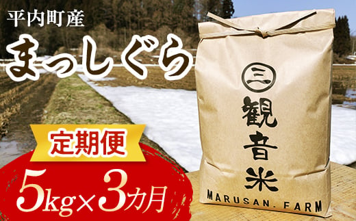 ＜定期便＞ 100年続く米農家 新米 まっしぐら 5kg×3ヶ月連続（令和6年産） 【マルサンファーム】 白米 精米 米 お米 おこめ コメ 東北 青森県 平内町 F21J-121 686904 - 青森県平内町