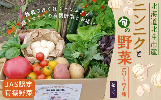 【JAS認定有機野菜】北斗市産 ニンニクと野菜5～7種類野菜セット 紙箱入(季節で種類が変更) ふるさと納税 人気 おすすめ ランキング ニンニク にんにく 国産 野菜 旬 セット 有機野菜 無農薬 有機栽培 紫アスパラ 紫からし菜 からし菜 南瓜 かぼちゃ サニーレタス ルッコラ レッドオーク レッドロメイン グリーンオーク グリーンロメイン 玉レタス 北海道 北斗市 送料無料 HOKB022 619238 - 北海道北斗市