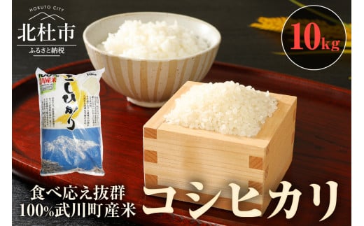 【令和6年度新米】【令和6年度米】山梨最大の米処　北杜市武川町産　コシヒカリ10kg×1袋 719143 - 山梨県北杜市