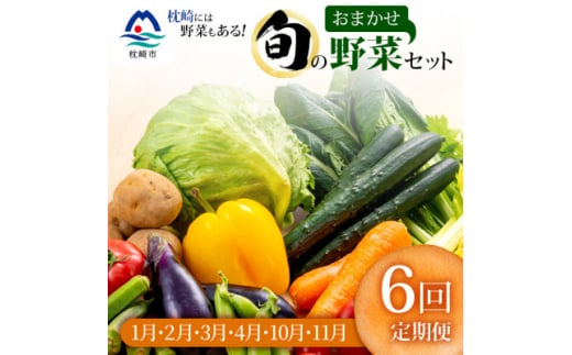 ＜発送月固定定期便＞枕崎には野菜もある!!定番・旬の野菜お任せセット HH0-0002 全6回【4057570】