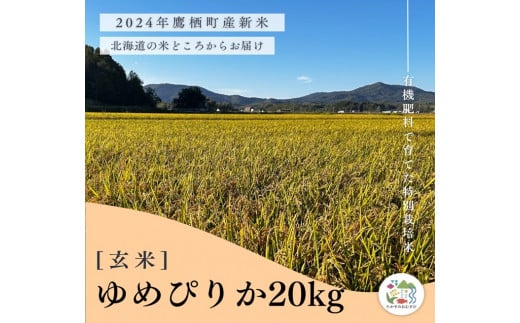 A260【令和６年産】ゆめぴりか（玄米）特Aランク 10kg×2袋 20kg 北海道 鷹栖町 たかすのおむすび 米 コメ ご飯 玄米 お米 ゆめぴりか 1503534 - 北海道鷹栖町