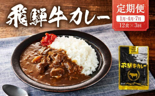 【期間限定】飛騨牛カレー 36袋(12袋x3回)  定期便 3回【1月・4月・7月】 | 訳あり 飛騨牛 肉 牛 カレー ビーフカレー 簡易包装 レトルトカレー ご当地カレー 人気 おすすめ ふるさと清見21 DC103 1503351 - 岐阜県高山市