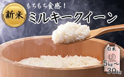 特別栽培米 アグロスタイルの新米！ R6年産ミルキークイーン 20㎏ 1504256 - 熊本県阿蘇市