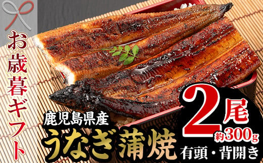 【令和6年お歳暮対応】厳選！国産 鹿児島県産 うなぎ蒲焼 2尾 約300g！ 鰻養殖生産量日本一 鹿児島県産新仔うなぎ使用 こだわりの地焼き！ 冷凍うなぎ 秘伝のタレ 付き うな重 うな丼 きざみ鰻 うなぎのせいろ蒸し弁当にもオススメ！ 贈答 ギフト にも！【南竹鰻加工】【SA-287H】