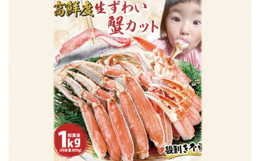 カット済 生本ずわいがに 総重量1kg(内容量800g) < 数量限定 >＜ 生食OK ＞ < 工場直送 > 生ずわいがに ずわいがに ずわい蟹 生冷ずわいがに 生ずわい ずわい かに かに足 蟹足 足 かに脚 蟹脚 脚 かに肩 蟹肩 肩 かに爪 蟹爪 爪 かに鍋 蟹鍋 かにしゃぶ 蟹しゃぶ かに刺し 刺身 焼き蟹 焼きガニ 魚介 海鮮