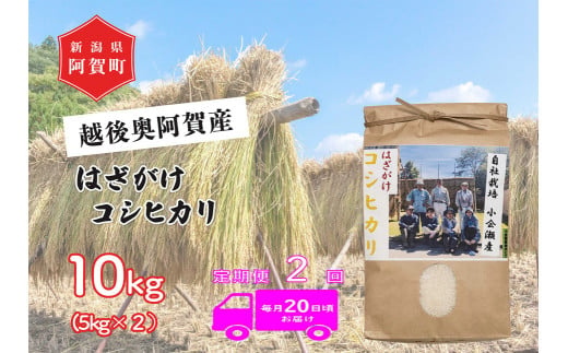 《令和6年産米》【定期便】2回　越後奥阿賀産はざがけ（天日干し）コシヒカリ　10kg（5kg×2袋） 1520303 - 新潟県阿賀町