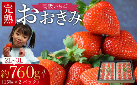 ＜高級いちご 「おおきみ」 （15粒入り×2パック 合計約760g以上）化粧箱＞【 いちご イチゴ 苺 先行予約 甘い 大きい 果物 フルーツ 季節物 】2025年1月上旬から4月末迄に順次出荷 238769 - 宮崎県国富町