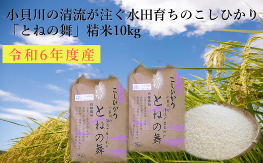 小貝川の清流が注ぐ水田育ち「とねの舞」精米10kg 281427 - 茨城県利根町