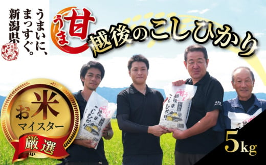 【令和6年産】新米 コシヒカリ 5kg 甘うま越後のこしひかり 越後 えちご 玄米 特別栽培米 新潟 コメ こめ お米 米 しんまい 新潟県 新潟米 新発田市 新発田産 斗伸 1482808 - 新潟県新発田市