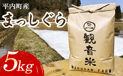 100年続く米農家 新米 まっしぐら 5kg （令和6年産） 【マルサンファーム】 白米 精米 米 お米 おこめ コメ 東北 青森県 平内町 F21J-118 686901 - 青森県平内町