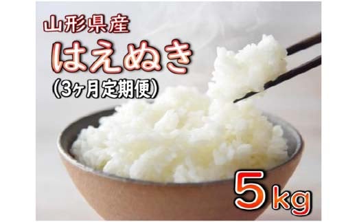 はえぬき 5kg×3回 定期便 3カ月連続【2024年12月発送開始】令和6年産 山形県産 米 コメ こめ F3S-2259 1514101 - 山形県新庄市