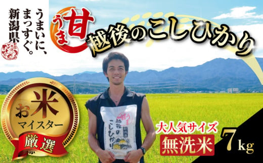 【令和6年産】無洗米 甘うま越後のこしひかり 7kg 越後 えちご 特別栽培米 新潟 コメ こめ お米 米 しんまい 新潟県 新潟米 新発田市 新発田産 斗伸 1482809 - 新潟県新発田市