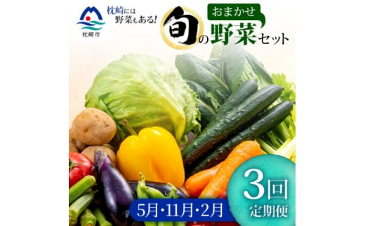 ＜発送月固定定期便＞枕崎の野菜!!定番・旬の野菜お任せセット(5・11・2月)DD0-0008全3回【4057567】