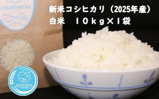 千葉県一宮町産コシヒカリ(白米10kg)令和7年産米[2025年発送分] 一等米 10kg 1袋 白米 精米 先行予約