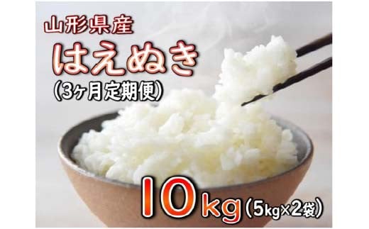 はえぬき 10kg（5kg×2袋）×3回 定期便 3カ月連続【2024年12月発送開始】令和6年産 山形県産 米 コメ こめ F3S-2260 1514103 - 山形県新庄市