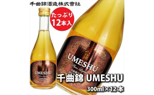 信州佐久　梅酒 千曲錦　UMESHU 300mｌ×12本セット【 酒 さけ 長野県 佐久市 】 1503386 - 長野県佐久市