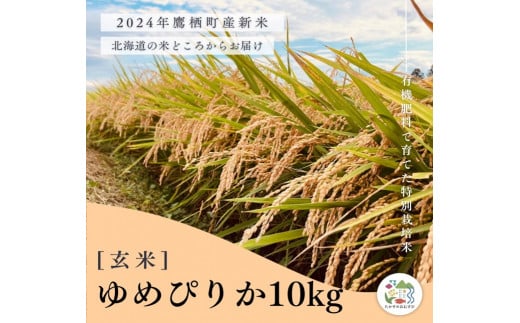 A259【令和６年産】ゆめぴりか（玄米）特Aランク 10kg 北海道 鷹栖町 たかすのおむすび 米 コメ ご飯 玄米 お米 ゆめぴりか 1503533 - 北海道鷹栖町