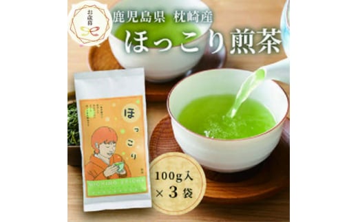 ＜のし付き・お歳暮＞一番茶のみ使用　ほっこり煎茶 100g×3袋 A5-1S【1551762】