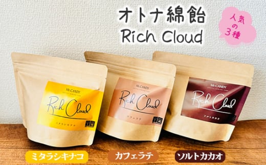 No.133 オトナ綿飴Rich Cloud人気の三種セット ／ スイーツ デザート おやつ ほどける口溶け 新食感 ミタラシキナコ ソルトカカオ カフェラテ 埼玉県 1506337 - 埼玉県越谷市