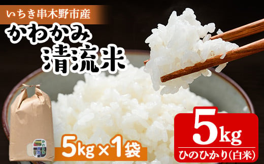 【令和6年度 新米 ＜10月中旬より発送＞】米 5kg（5kg×1袋）かわかみ清流米（ひのひかり） 令和6年 鹿児島県産 農家直送 新米 米 白米 5kg 袋 ひのひかり 備蓄 や 贈答 にもオススメ！【A-1761H】 1502579 - 鹿児島県いちき串木野市