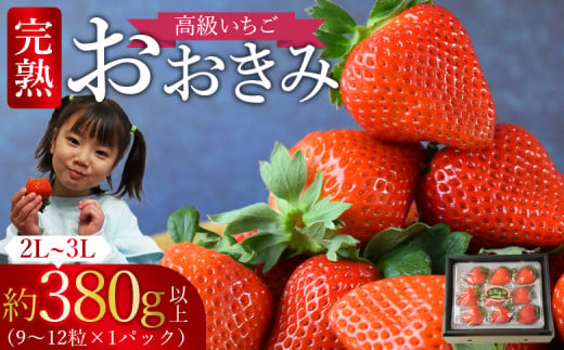 ＜高級いちご 「おおきみ」（9～12粒×1パック約380g以上）化粧箱＞【 いちご イチゴ 苺 先行予約 甘い 大きい 果物 フルーツ 季節物 】2025年1月上旬から4月末迄に順次出荷 223845 - 宮崎県国富町