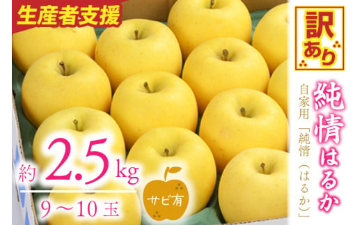 ＼訳あり／りんご 純情 はるか 約2.5kg 糖度14度以上【先行予約 12月発送】数量限定 わけあり 自家用 岩手県産 りんご リンゴ 林檎 はるか 純情はるか フルーツ くだもの 果物 【冬恋研究会】 (AI011) 1464121 - 岩手県紫波町